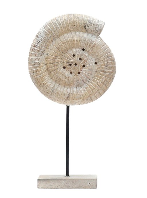 ANTIQUE WOODEN SEASHELL